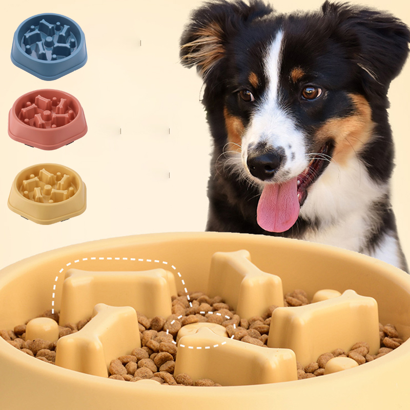 Gamelle anti-glouton labyrinthe pour chien